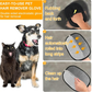 🧤 PROMO LIMITÉE 50% DE RÉDUCTION ! ✨ Gants Électrostatiques pour Poils d'Animaux – Silicone, Réutilisables, Lavables 🐾