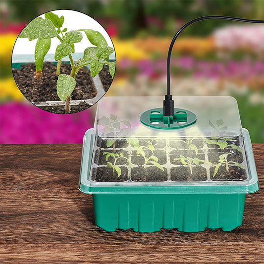 💎 Plateaux de Germination avec Lampe de Croissance – Contrôle Humidité, Transparent & Lumière Full-Spectrum 🌱💡