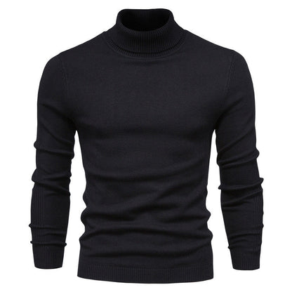 Pull à Col Roulé en Maille en Couleur Unie pour Homme
