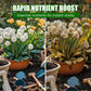 Natural Plant Recovery Booster With Essential Nutrients