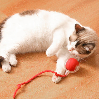 🔥VENTE LIMITÉE 50 % DE RÉDUCTION🔥Boule Roulante Automatique Intelligente pour Animaux de Compagnie