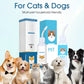 💊🛍️ -50% ! 🌱Solution Nettoyante Auriculaire pour Chiens et Chats – Soulage les Démangeaisons, Nettoie en Douceur – Extraits de Plantes Naturelles & Formule Douce – Idéale pour les Oreilles Sensibles