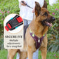 📢📢54 % DE RÉDUCTION !! ⏰Harnais anti-traction pour chien avec laisse et collier à LED