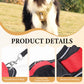 📢📢54 % DE RÉDUCTION !! ⏰Harnais anti-traction pour chien avec laisse et collier à LED