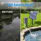 ☀️🐟 Aérateur Solaire pour Bassin avec Pompe à Air – 7V/2.5W, Kit Complet, Installation Facile, Santé Aquatique 24/7 ✨