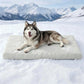 🐾 PROMO LIMITÉE 56% DE RÉDUCTION ! ❄️ Tapis Rafraîchissant Instantané pour Animaux – Anti-Rayures, Non Toxique, Facile à Nettoyer 🐶
