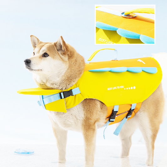 🐶 -50% ! 🌊 Gilet de Sauvetage Haute Flottabilité pour Chien – Polyester – Bandes Réfléchissantes & Poignée de Sauvetage – Tailles XS–L – 11 Coloris pour Lac, Plage et Bateau 🚤