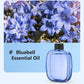 🌬️🌸 -60% ! 🏡Diffuseur d'Aromathérapie Automatique – Silencieux, Diffusion Régulière & Ambiance Parfumée.