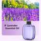 🌬️🌸 -60% ! 🏡Diffuseur d'Aromathérapie Automatique – Silencieux, Diffusion Régulière & Ambiance Parfumée.