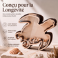 🎉 Soldes 2026 — Plus de 14 900 exemplaires vendus ! 🌊 Organisateur créatif en bois en forme de carapace de tortue de mer