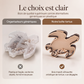 🎉 Soldes 2026 — Plus de 14 900 exemplaires vendus ! 🌊 Organisateur créatif en bois en forme de carapace de tortue de mer