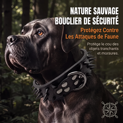 Collier pour chien en simili-cuir à pointes