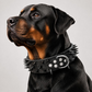 Collier pour chien en simili-cuir à pointes
