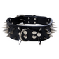 Collier pour chien en simili-cuir à pointes