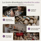 💊🧰 Grande Boîte à Médicaments Familiale – Multiniveau, Compartimentée et Portable