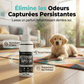 Spray nettoyant pour tapis à nettoyage en profondeur