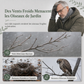 Nid d'oiseau sphérique en paille tressée à la main, avec ouverture ronde, pour la décoration des jardins et des cours extérieurs