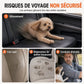 🐶 RÉDUCTION LIMITÉE DE 50% ! 🚗 Siège rehausseur robuste pour chien en voiture – Cadre en métal rigide, tissu Oxford imperméable et protection de siège 🛡️